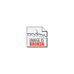 K-625: Louis Riel Comic Set by Chester Brown – 10 Items