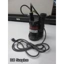 Q-119: Red Lion Submersible Pump with Float Switch