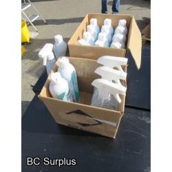 Q-419: Spray Disinfectant  - 2 Boxes