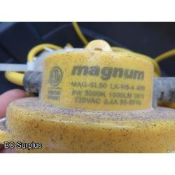 R-364: Magnum LED Job Site Light Strings – 3 Lengths