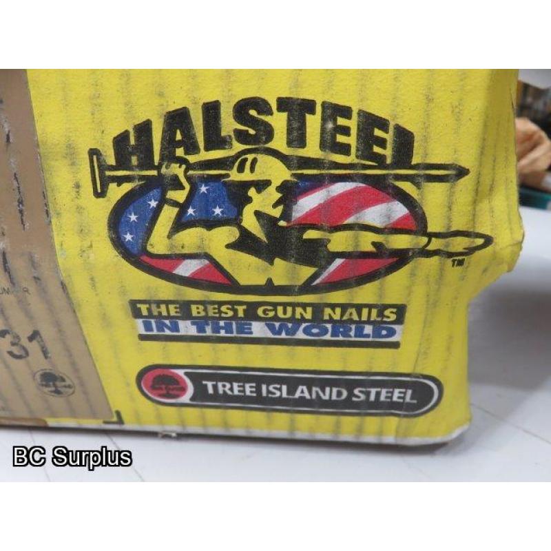 S-304: HalSteel 21 Degree Galvanized Nail Gun Nails – 1 Case
