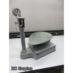 S-456: Platform Scale with accessories – 100 Pound
