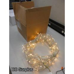 S-521: Warm White Clip Lights with Power Supply – 2 Items