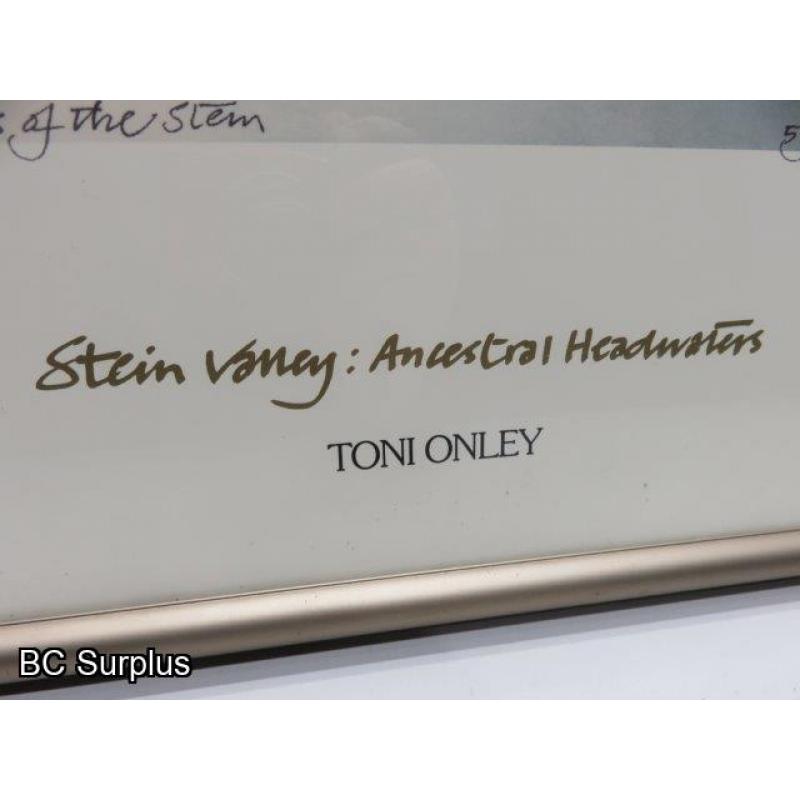 S-736: Toni Only Print – Headwaters of the Stein – Framed