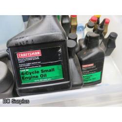 T-107: Various Types of Oil & Lubricant – 1 Lot